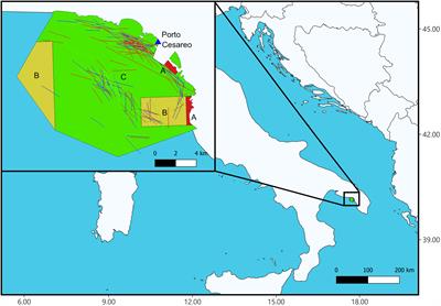Increasing trammel mesh size reduces biomass removal, mitigates discards and increases economic revenue in artisanal fisheries